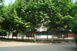 http://www.jszspx.com/school-2909/document-id-9054.html
