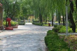 http://www.jszspx.com/school-2910/document-id-9051.html