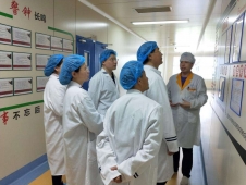 ����鿴��ͼ