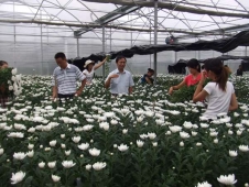 http://www.jszspx.com/school-4031/document-id-35723.html