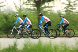 ����鿴��ͼ