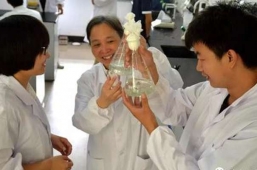 ����鿴��ͼ