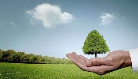 http://www.jszspx.com/school-15968/document-id-119632.html