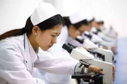http://www.jszspx.com/school-19833/document-id-127559.html